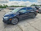 2024 HONDA ODYSSEY