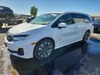2026 HONDA ODYSSEY