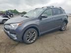 2018 TOYOTA RAV4 HV