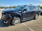 2023 CADILLAC ESCALADE