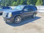 2012 CADILLAC ESCALADE