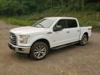 2017 FORD F150