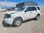 2009 FORD ESCAPE