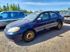 2006 TOYOTA COROLLA