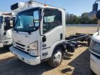 2019 ISUZU NQR