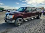 2009 FORD F150