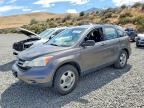 2010 HONDA CR-V