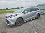 2024 TOYOTA SIENNA
