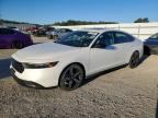 2023 HONDA ACCORD