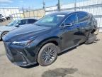 2026 LEXUS NX