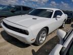 2014 DODGE CHALLENGER