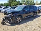2024 HONDA PILOT