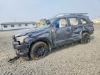 2025 TOYOTA SEQUOIA