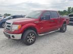 2013 FORD F150