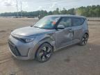 2025 KIA SOUL