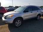 2010 HONDA CR-V