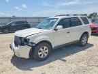 2010 FORD ESCAPE