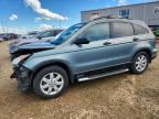 2010 HONDA CR-V