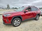 2025 TOYOTA RAV4 HYBRID