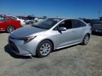 2026 TOYOTA COROLLA HYBRID