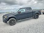 2010 FORD F150
