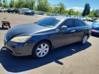 2007 LEXUS ES