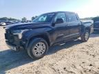 2024 TOYOTA TUNDRA