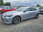 2024 LEXUS ES 300H
