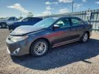 2013 TOYOTA CAMRY HYBRID
