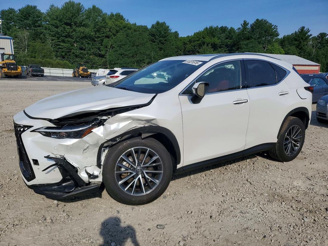 2024 LEXUS NX 350H