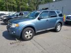 2010 FORD ESCAPE