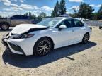 2024 TOYOTA CAMRY HYBRID