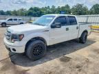 2013 FORD F150