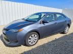 2019 TOYOTA COROLLA