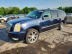 2007 CADILLAC ESCALADE