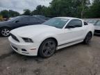 2013 FORD MUSTANG