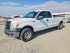 2014 FORD F150
