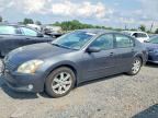 2006 NISSAN MAXIMA