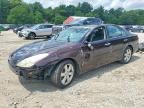 2005 LEXUS ES
