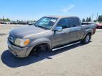 2005 TOYOTA TUNDRA