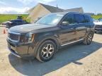 2021 KIA TELLURIDE