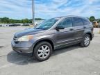 2010 HONDA CR-V
