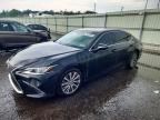 2019 LEXUS ES