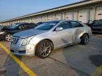 2017 CADILLAC XTS