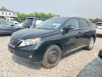 2011 LEXUS RX