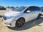 2024 HONDA ODYSSEY