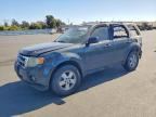 2009 FORD ESCAPE