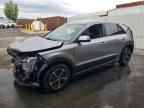 2026 KIA NIRO