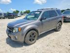 2011 FORD ESCAPE