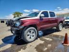 2013 TOYOTA TACOMA